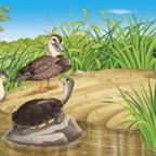 Picture4.jpg